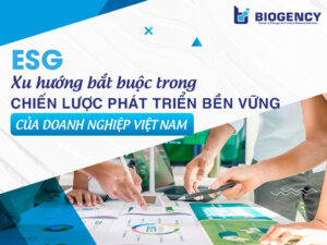 ESG – Xu hướng bắt buộc trong chiến lược phát triển bền vững của doanh nghiệp Việt Nam