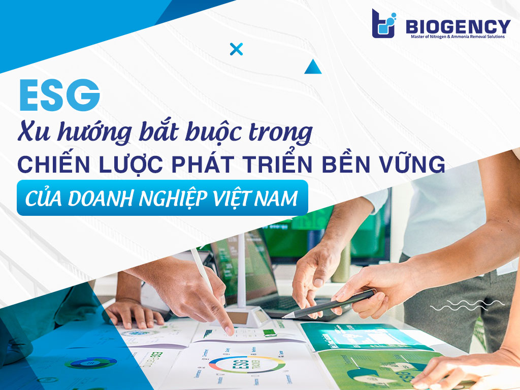ESG – Xu hướng bắt buộc trong chiến lược phát triển bền vững của doanh nghiệp Việt Nam