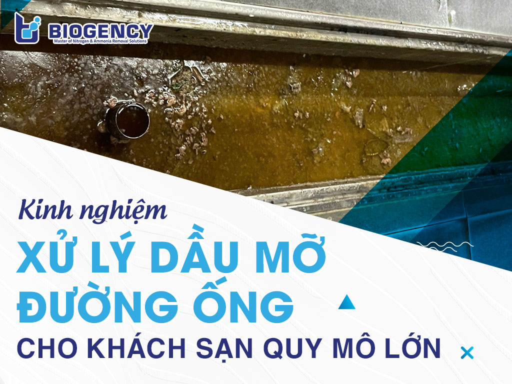 Kinh nghiệm xử lý dầu mỡ đường ống cho khách sạn quy mô lớn Kinh nghiệm xử lý dầu mỡ đường ống cho khách sạn quy mô lớn