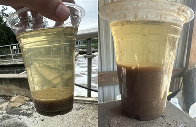 Bùn vi sinh hiếu khí trước và sau khi áp dụng phương án từ BIOGENCY. Bùn vi sinh hiếu khí trước và sau khi áp dụng phương án từ BIOGENCY.