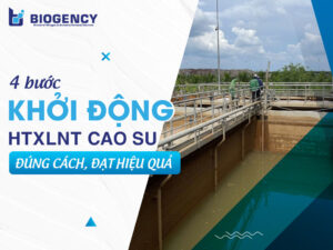 4 bước khởi động HTXLNT cao su đúng cách, đạt hiệu quả