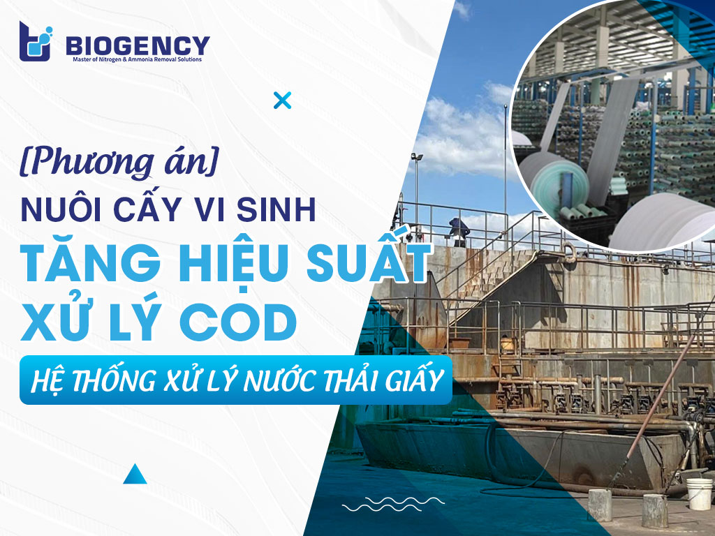 [Phương án] Nuôi cấy vi sinh tăng hiệu suất xử lý COD hệ thống xử lý nước thải giấy