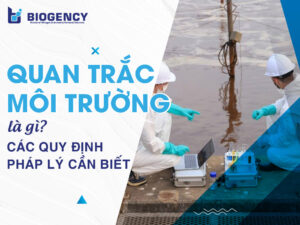 Quan trắc môi trường là gì? Các quy định pháp lý cần biết