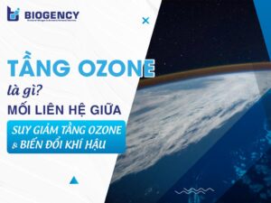 Tầng Ozone là gì? Mối liên hệ giữa suy giảm tầng Ozone và biến đổi khí hậu