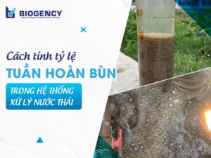 Cách tính tỷ lệ tuần hoàn bùn trong hệ thống xử lý nước thải