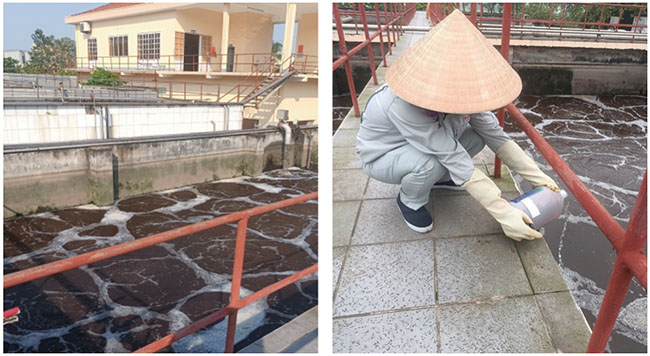 Hiện trạng HTXLNT nhà máy Bia Sài Gòn (Hà Tĩnh) khi khảo sát. Hiện trạng HTXLNT nhà máy Bia Sài Gòn (Hà Tĩnh) khi khảo sát.