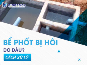 Bể phốt bị hôi do đâu? Cách xử lý