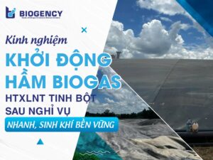 Kinh nghiệm khởi động hầm Biogas HTXLNT tinh bột sau nghỉ vụ nhanh, sinh khí bền vững