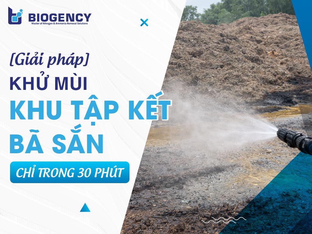 [BIOGENCY] Giải pháp khử mùi khu tập kết bã sắn chỉ trong 30 phút