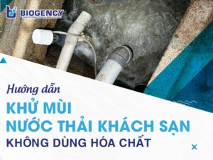 Hướng dẫn khử mùi nước thải khách sạn không dùng hóa chất