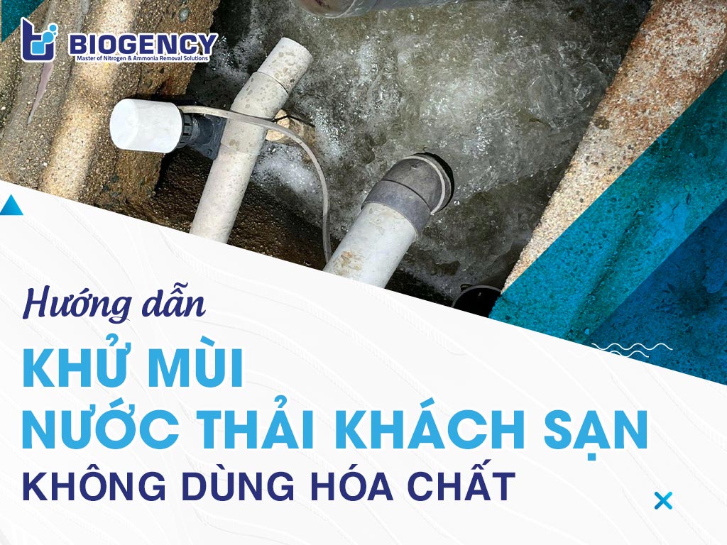 Hướng dẫn khử mùi nước thải khách sạn không dùng hóa chất