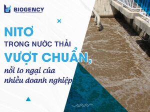 Nitơ trong nước thải vượt chuẩn, nỗi lo ngại của nhiều doanh nghiệp