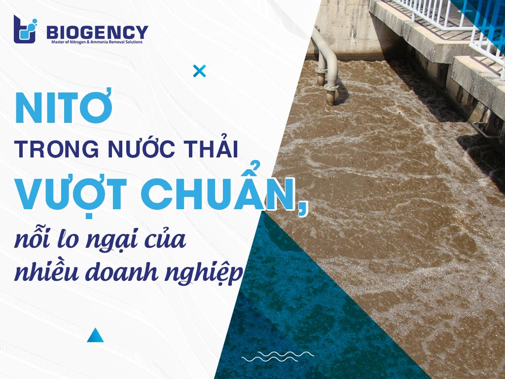 Nitơ trong nước thải vượt chuẩn, nỗi lo ngại của nhiều doanh nghiệp