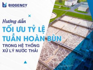 Hướng dẫn tối ưu tỷ lệ tuần hoàn bùn trong hệ thống xử lý nước thải