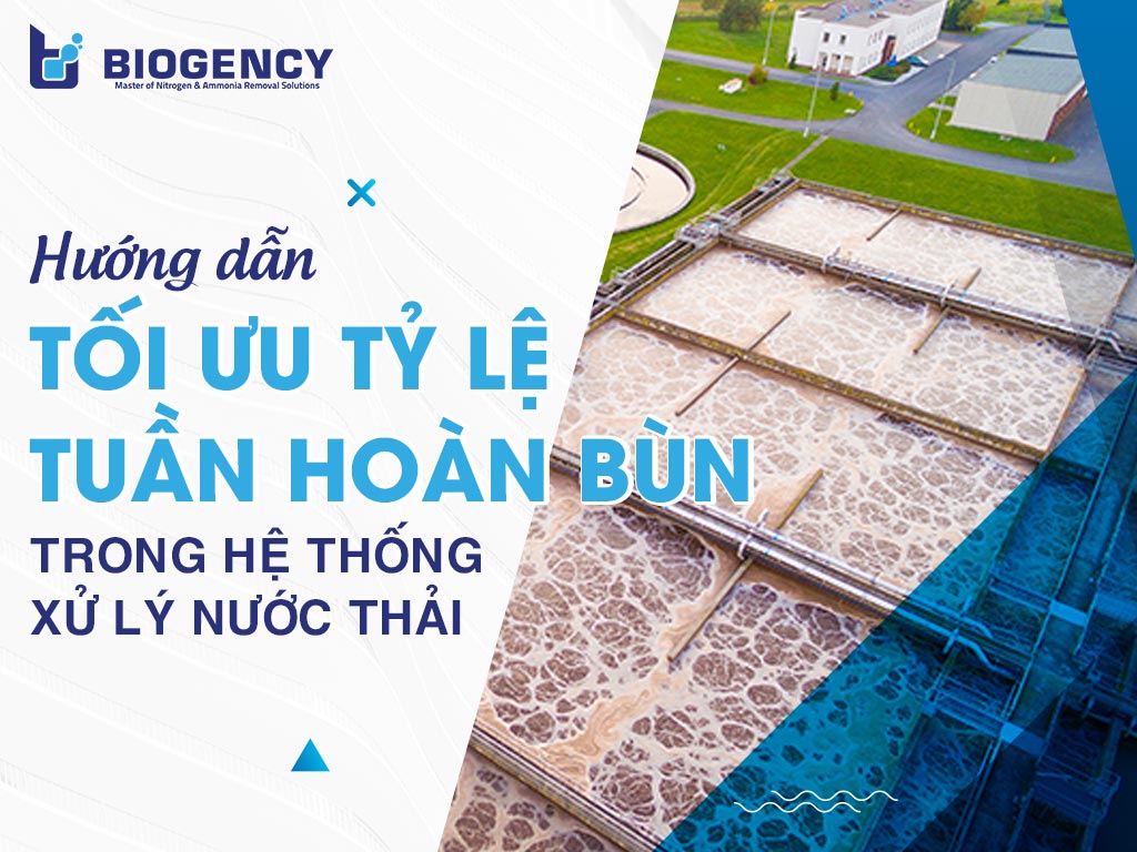 Hướng dẫn tối ưu tỷ lệ tuần hoàn bùn trong hệ thống xử lý nước thải
