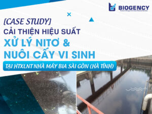 [CASE STUDY] Cải thiện hiệu suất xử lý Nitơ và nuôi cấy vi sinh tại HTXLNT nhà máy Bia Sài Gòn (Hà Tĩnh)
