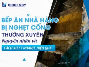 Bếp ăn nhà hàng bị nghẹt cống thường xuyên: Nguyên nhân và cách xử lý nhanh, hiệu quả