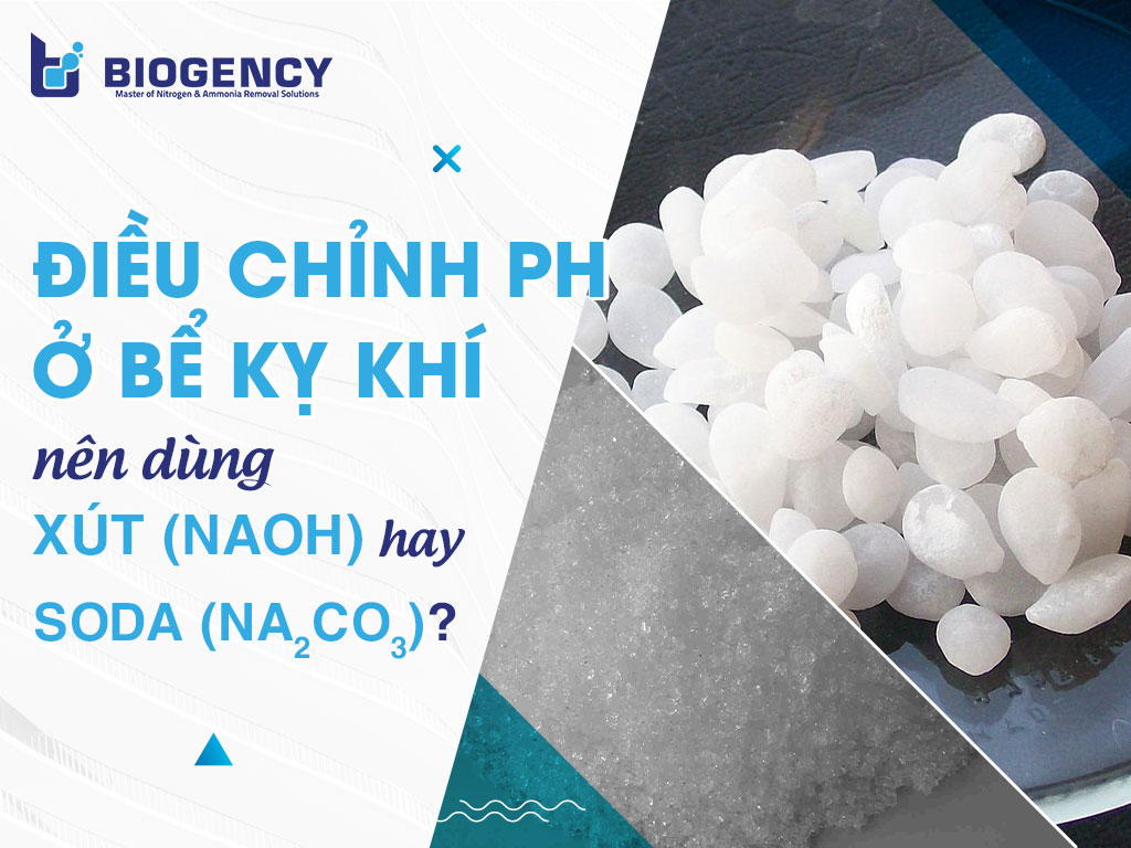 Điều chỉnh pH ở bể kỵ khí nên dùng Xút (NaOH) hay Soda (Na2CO3)?
