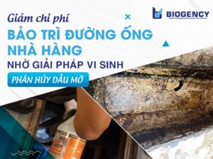 Làm sao để giảm chi phí bảo trì đường ống nhà hàng? Giải pháp xử lý dầu mỡ từ gốc
