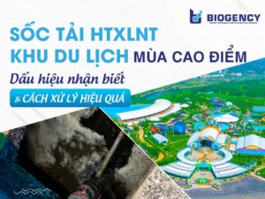 Sốc tải HTXLNT khu du lịch mùa cao điểm: Dấu hiệu nhận biết và cách xử lý hiệu quả