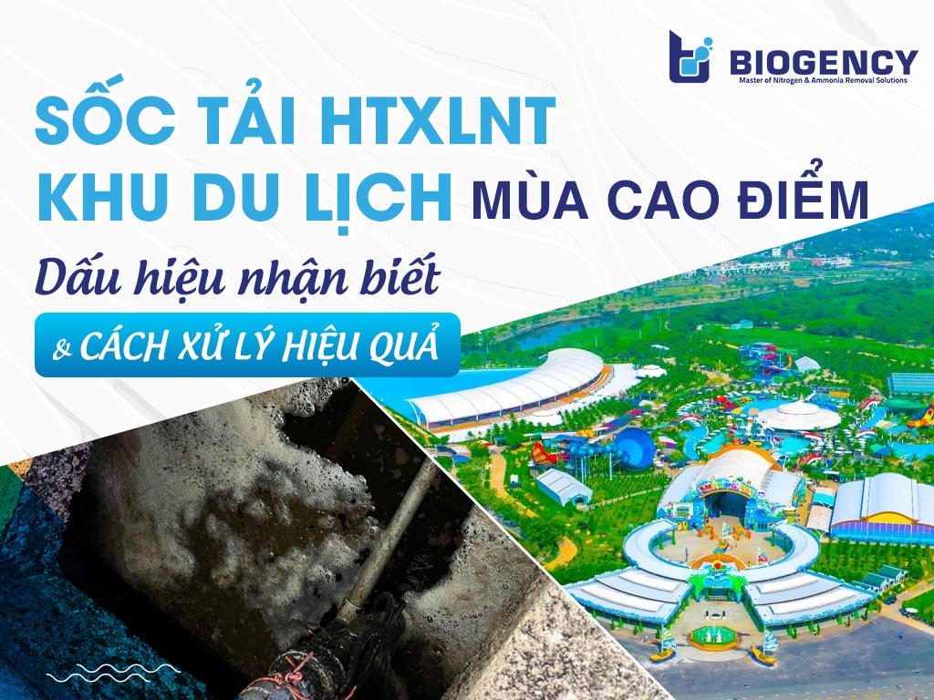 Sốc tải HTXLNT khu du lịch mùa cao điểm: Dấu hiệu nhận biết và cách xử lý hiệu quả