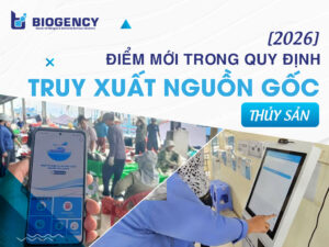 [Từ 2026] Tăng truy xuất nguồn gốc thủy sản khai thác điện tử