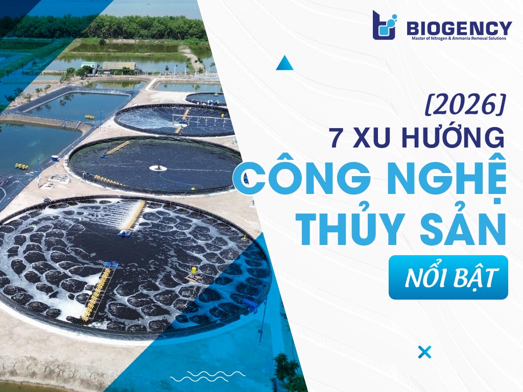 [2026] 7 xu hướng công nghệ thủy sản nổi bật