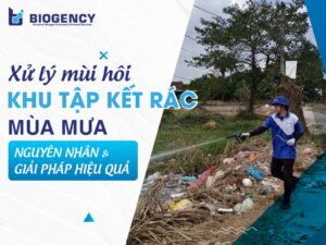 Xử lý mùi hôi khu tập kết rác mùa mưa: Nguyên nhân và giải pháp hiệu quả