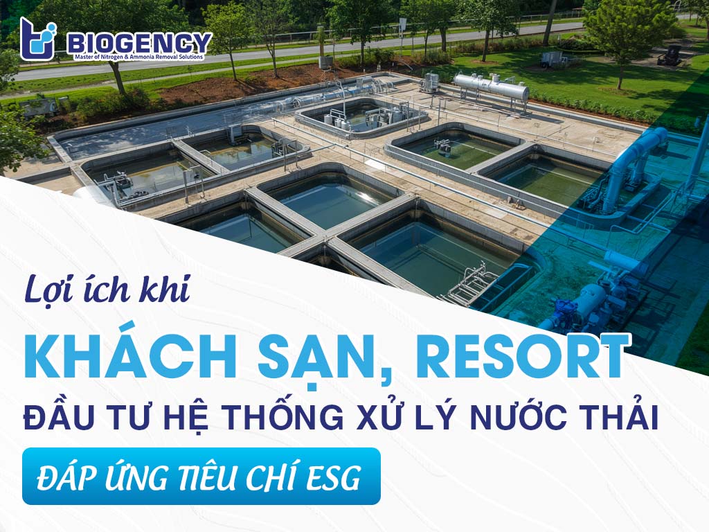 Lợi ích khi khách sạn, resort đầu tư hệ thống xử lý nước thải đáp ứng tiêu chí ESG