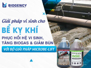 Giải pháp vi sinh cho bể kỵ khí: Phục hồi hệ vi sinh, tăng Biogas và giảm bùn với bộ giải pháp Microbe-Lift