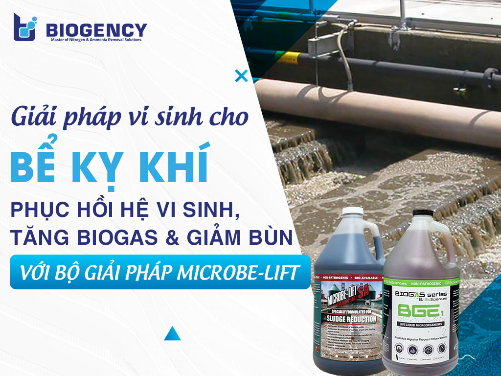 Giải pháp vi sinh cho bể kỵ khí: Phục hồi hệ vi sinh, tăng Biogas và giảm bùn với bộ giải pháp Microbe-Lift