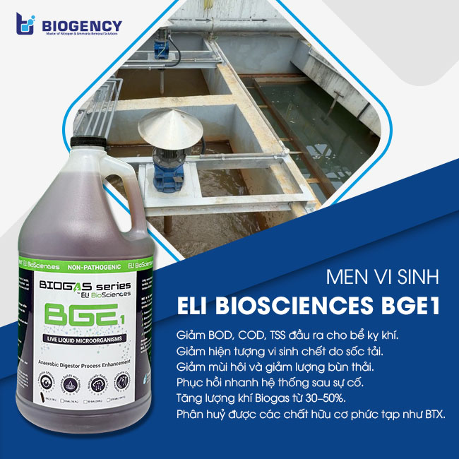 ELI Biosciences BGE1 giúp tăng hiệu suất phân hủy & tăng sinh khí Biogas. ELI Biosciences BGE1 giúp tăng hiệu suất phân hủy & tăng sinh khí Biogas.