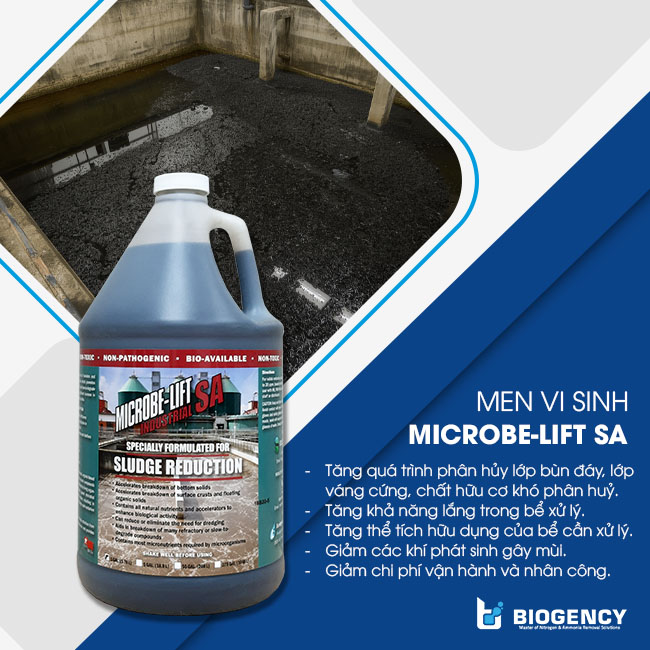 Microbe-Lift SA đẩy nhanh quá trình oxy hóa sinh học các hợp chất khó phân hủy như nhóm BTX (Benzene, Toluene, Xylene). Microbe-Lift SA đẩy nhanh quá trình oxy hóa sinh học các hợp chất khó phân hủy như nhóm BTX (Benzene, Toluene, Xylene).