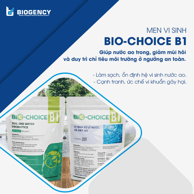 Men vi sinh Bio-Choice B1 giúp làm sạch ao nuôi. Men vi sinh Bio-Choice B1 giúp làm sạch ao nuôi.