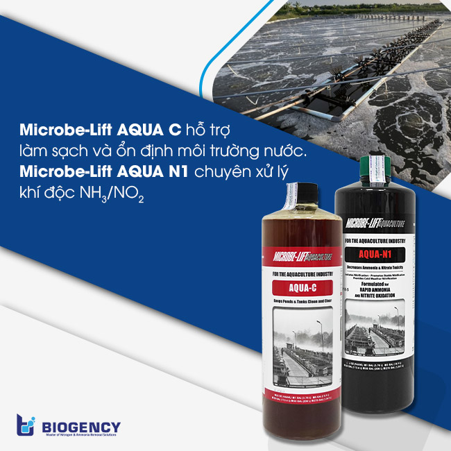 Kết hợp men vi sinh chuyên dụng để xử lý chất hữu cơ và khí độc. Kết hợp men vi sinh chuyên dụng để xử lý chất hữu cơ và khí độc.
