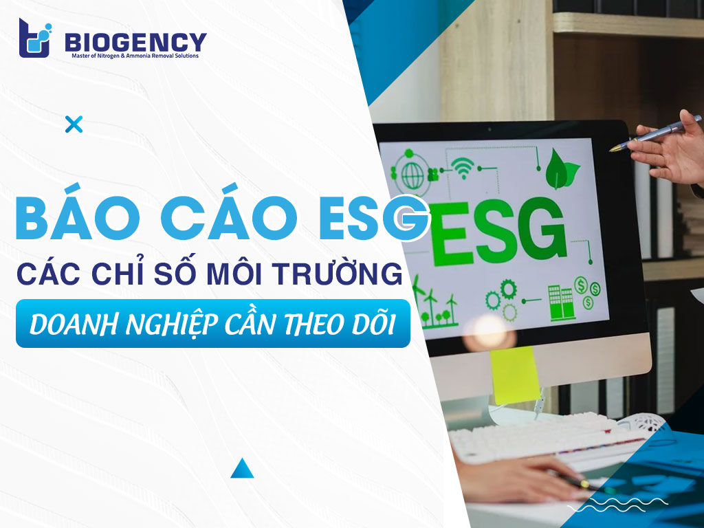 Báo cáo ESG là gì? 4 nhóm chỉ số môi trường quan trọng trong báo cáo ESG