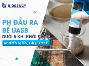 pH đầu ra bể UASB thấp hơn 6 khi khởi động: Nguyên nhân, dấu hiệu và 3 bước xử lý từ BIOGENCY