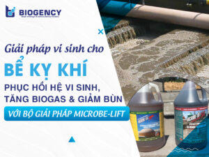 Giải pháp vi sinh cho bể kỵ khí: Phục hồi hệ vi sinh, tăng Biogas và giảm bùn với bộ giải pháp Microbe-Lift