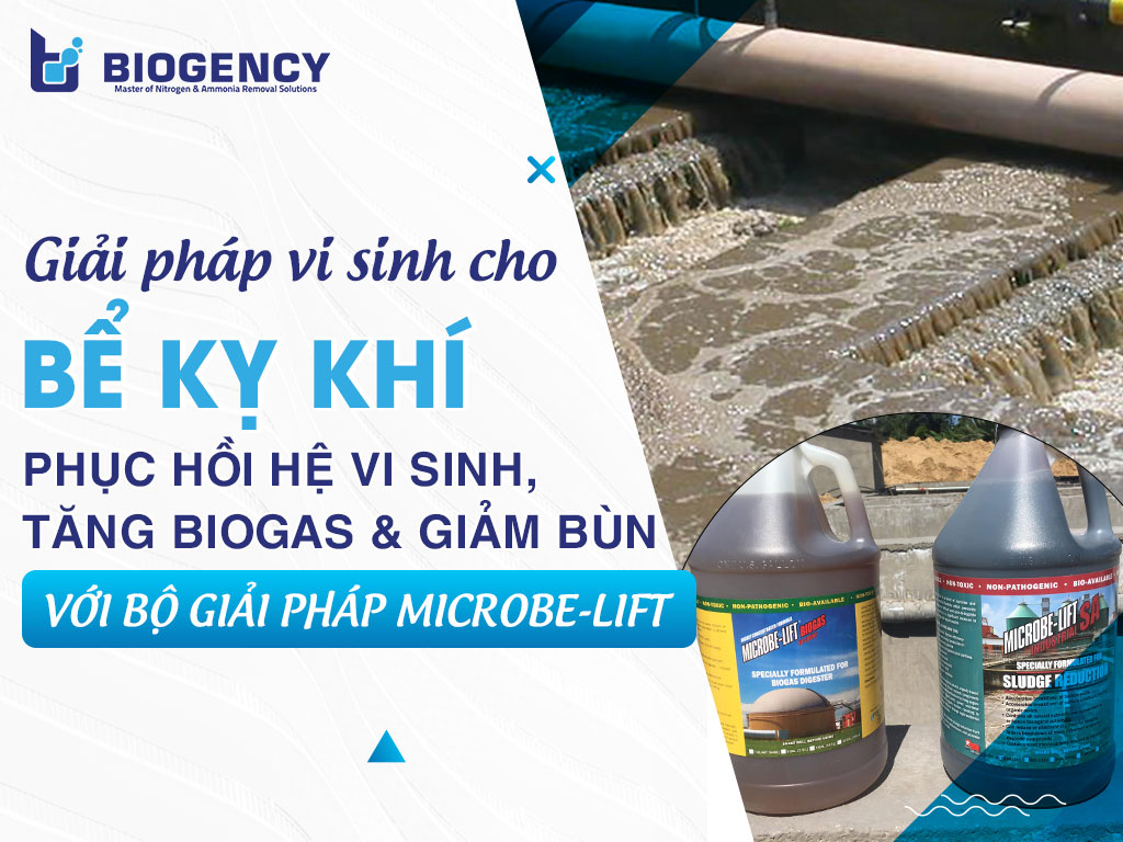 Giải pháp vi sinh cho bể kỵ khí: Phục hồi hệ vi sinh, tăng Biogas và giảm bùn với bộ giải pháp Microbe-Lift