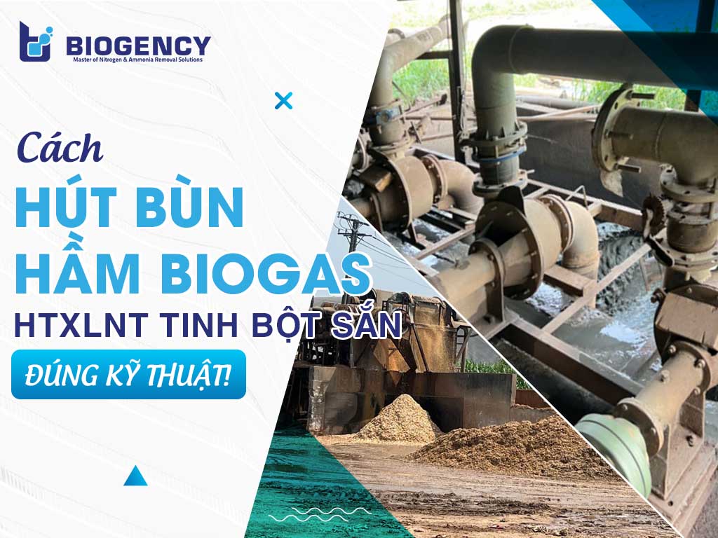 Hút bùn hầm Biogas HTXLNT tinh bột sắn: Cách thực hiện đúng và những lưu ý quan trọng