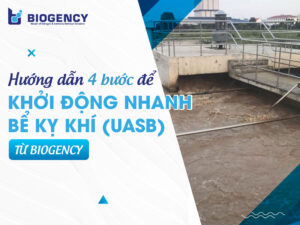 Hướng dẫn 4 bước để khởi động nhanh bể kỵ khí (UASB) từ BIOGENCY