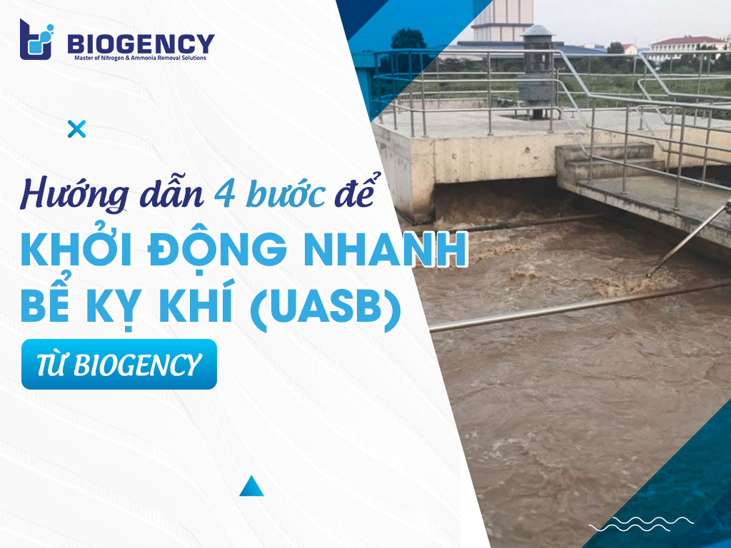 Hướng dẫn 4 bước để khởi động nhanh bể kỵ khí (UASB) từ BIOGENCY