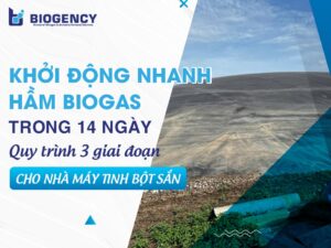 Khởi động nhanh hầm Biogas trong 14 ngày: Quy trình 3 giai đoạn cho nhà máy tinh bột sắn