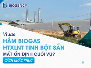 Vì sao hầm Biogas HTXLNT tinh bột sắn mất ổn định cuối vụ? Cách khắc phục