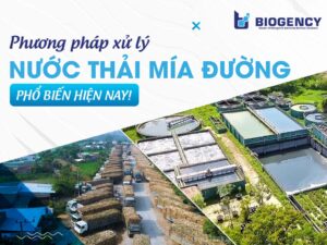 Phương pháp xử lý nước thải mía đường phổ biến hiện nay!
