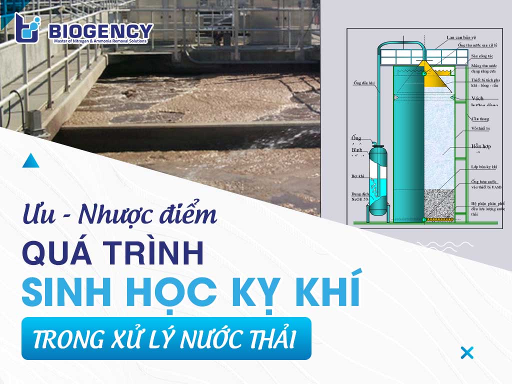 Ưu, nhược điểm quá trình sinh học kỵ khí trong xử lý nước thải