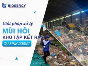 Giải pháp khử mùi hôi trạm trung chuyển, khu tập kết rác tại Bình Dương