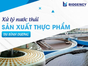 Giải pháp xử lý nước thải sản xuất thực phẩm tại Bình Dương an toàn và hiệu quả