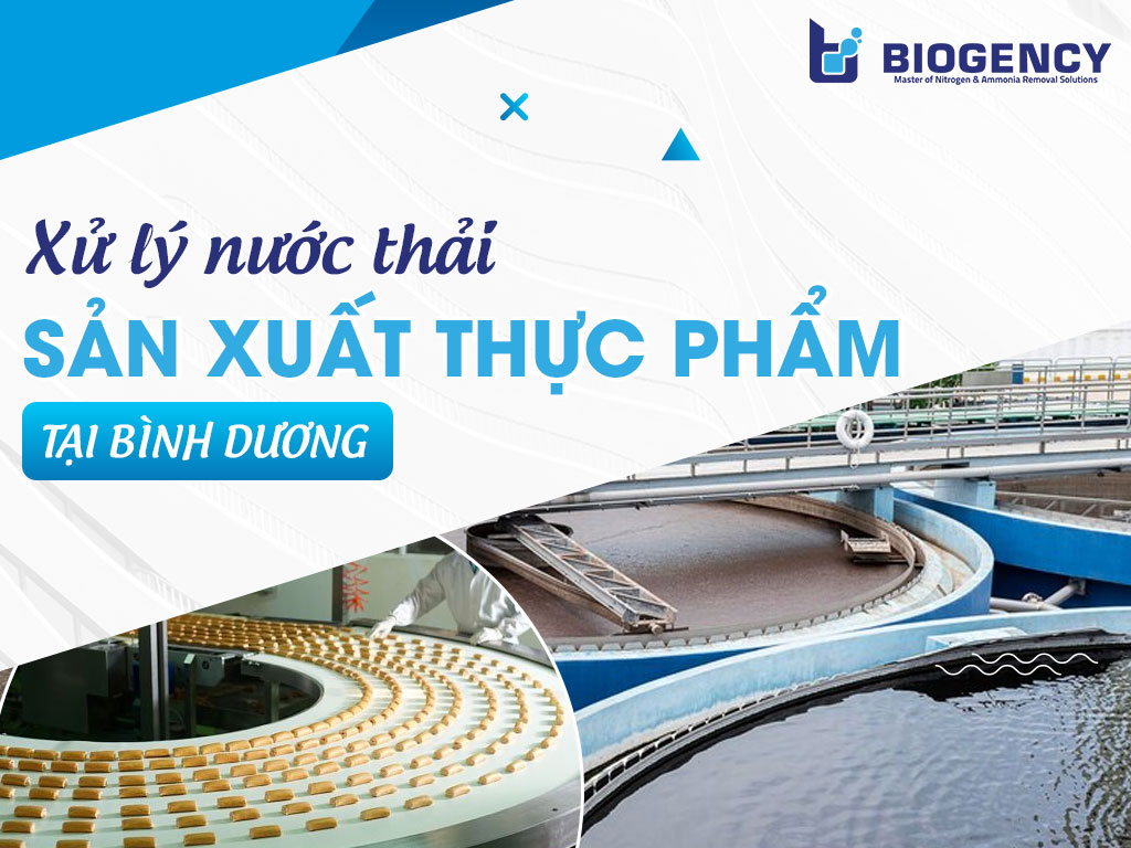 Giải pháp xử lý nước thải sản xuất thực phẩm tại Bình Dương an toàn và hiệu quả