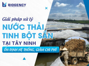 Giải pháp xử lý nước thải tinh bột sắn tại Tây Ninh: Ổn định hệ thống, giảm chi phí